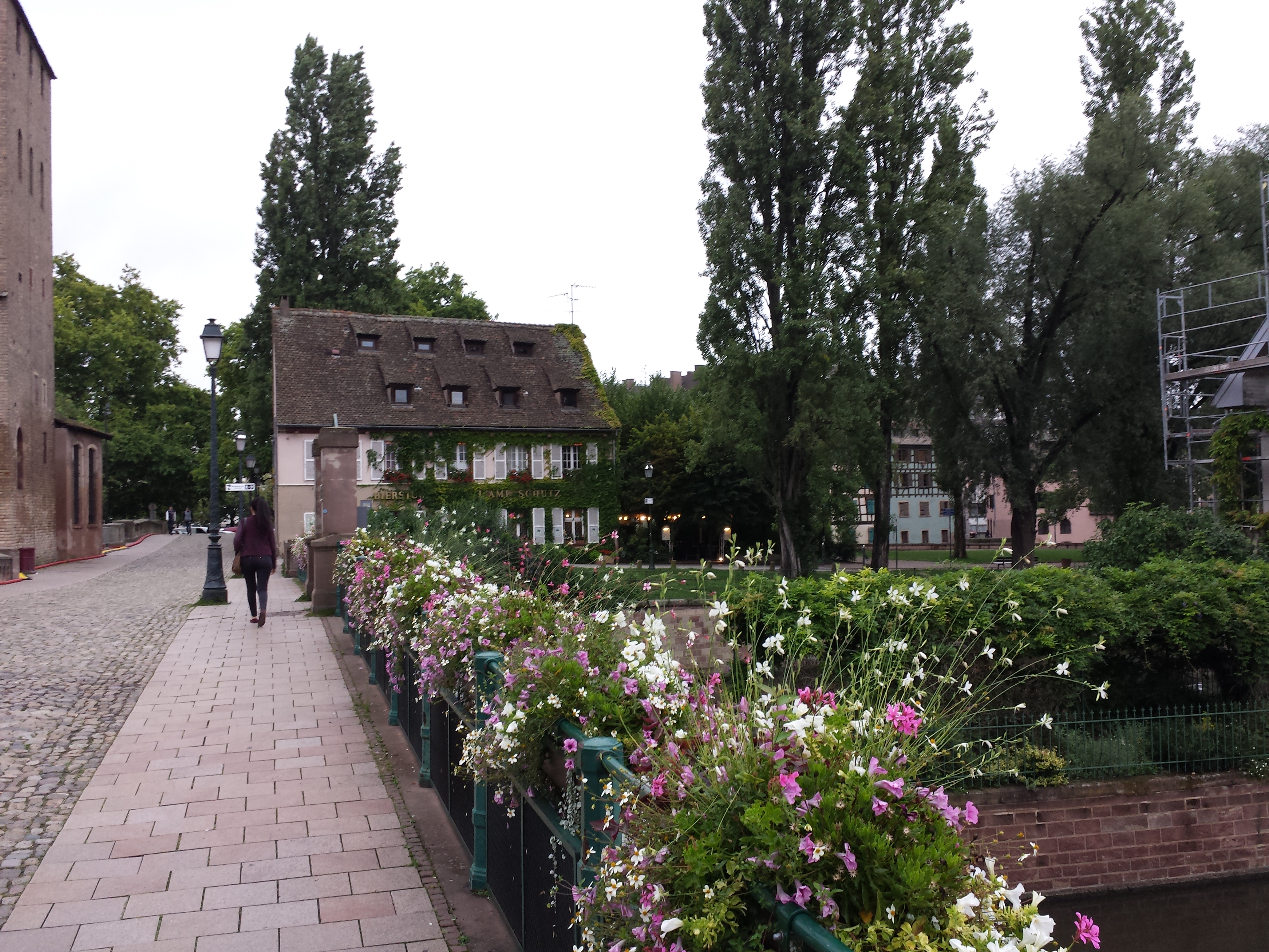 Another great view of the Petite France district